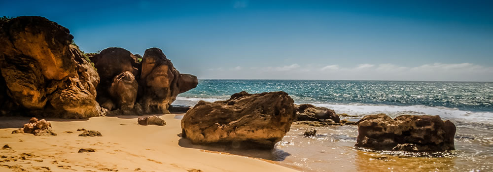 Beach landscape